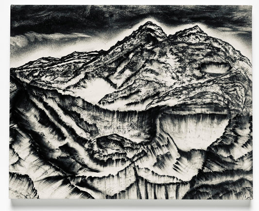 The Lost Collection Canvas Art Print