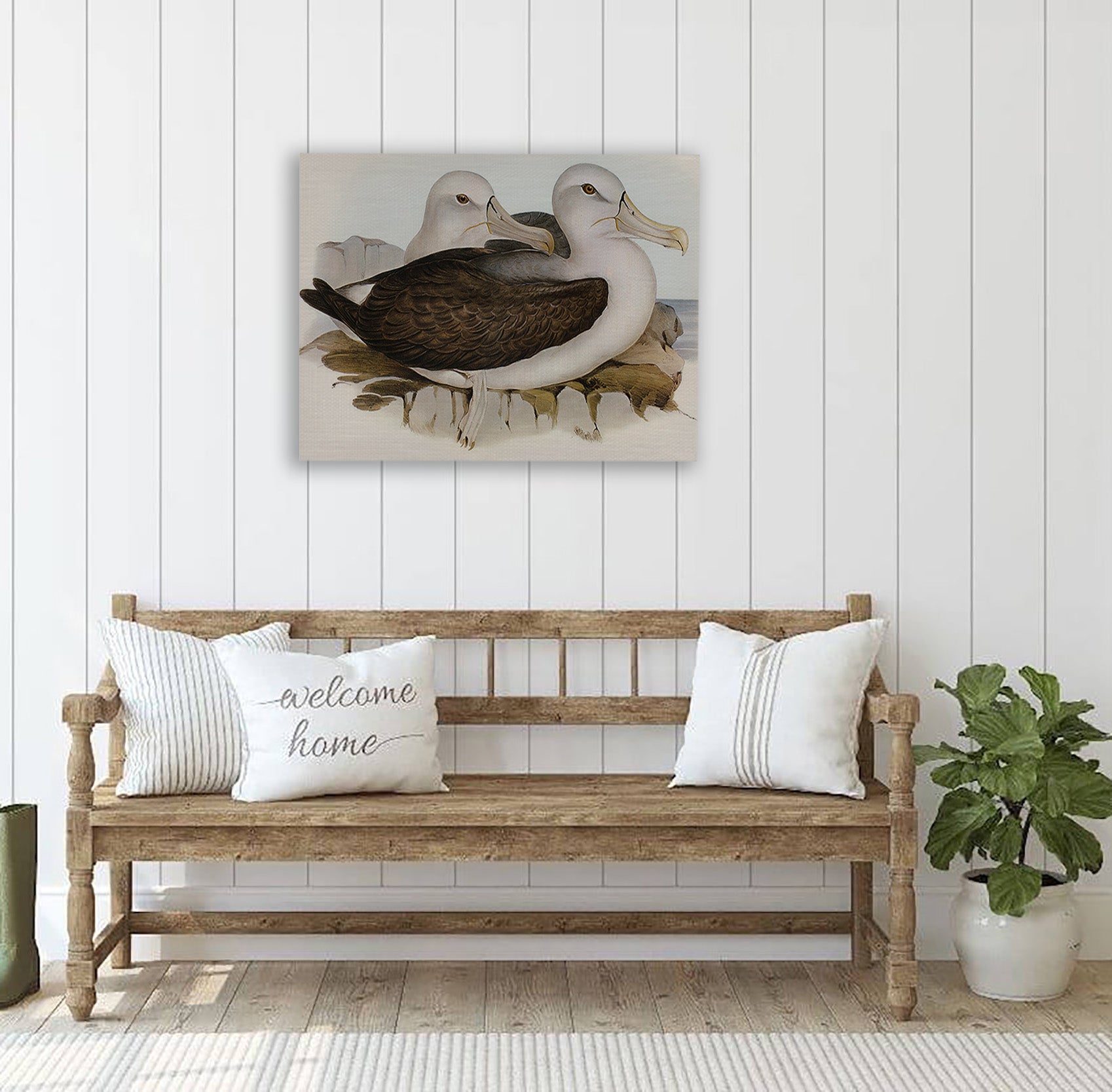 Avian Perch Canvas Print