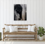 Black-Faced Majesty Canvas Print