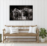 Buffalo Canvas Art