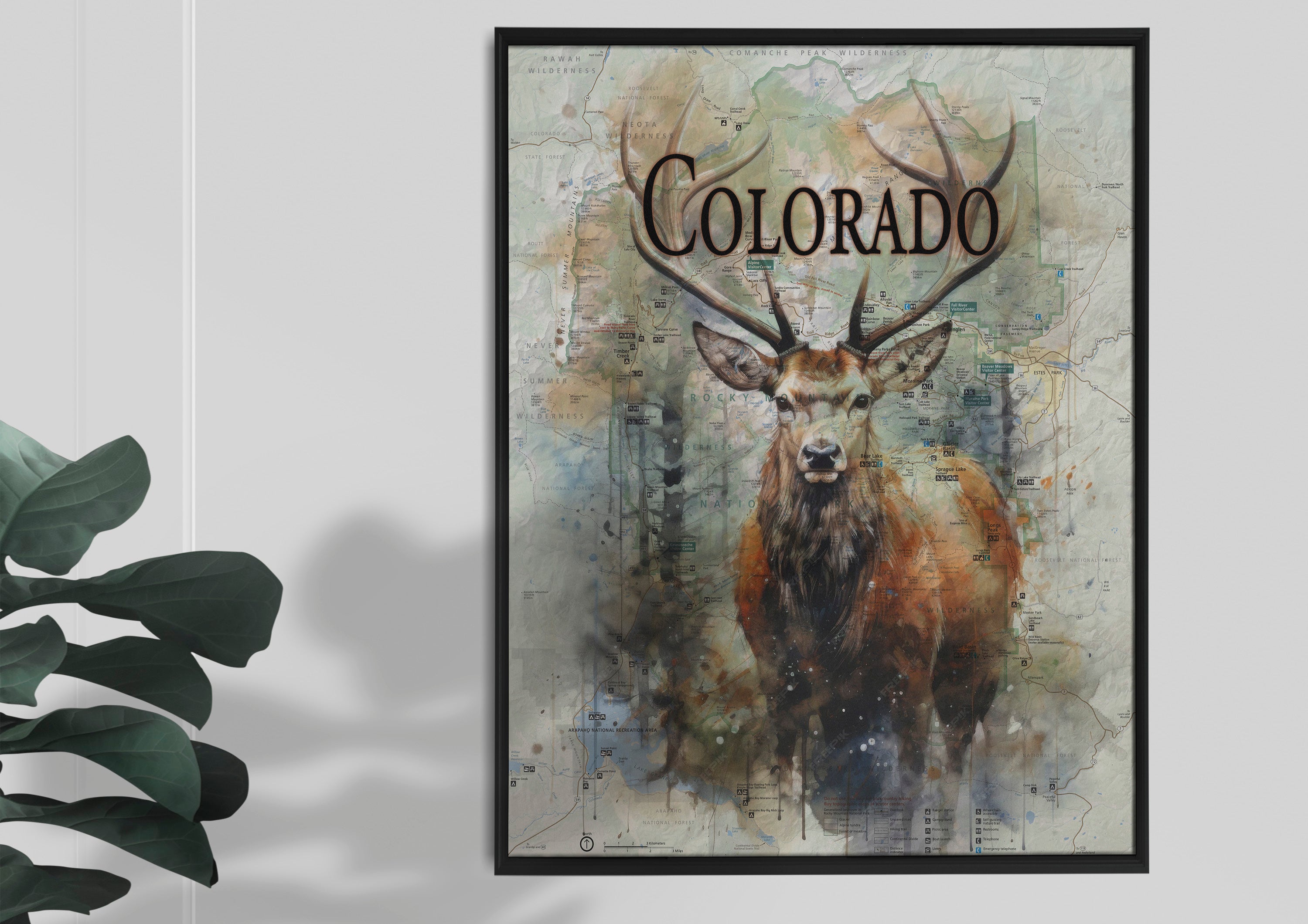 Colorado Flag Design_3 Framed Canvas