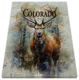 Colorado Flag Design_3 Canvas Print