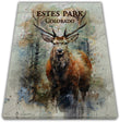 Estes Park Design_4 Canvas Print