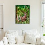 Deer Forest Canvas Print