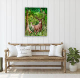 Deer Forest Canvas Print