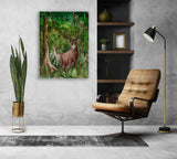 Deer Forest Canvas Print