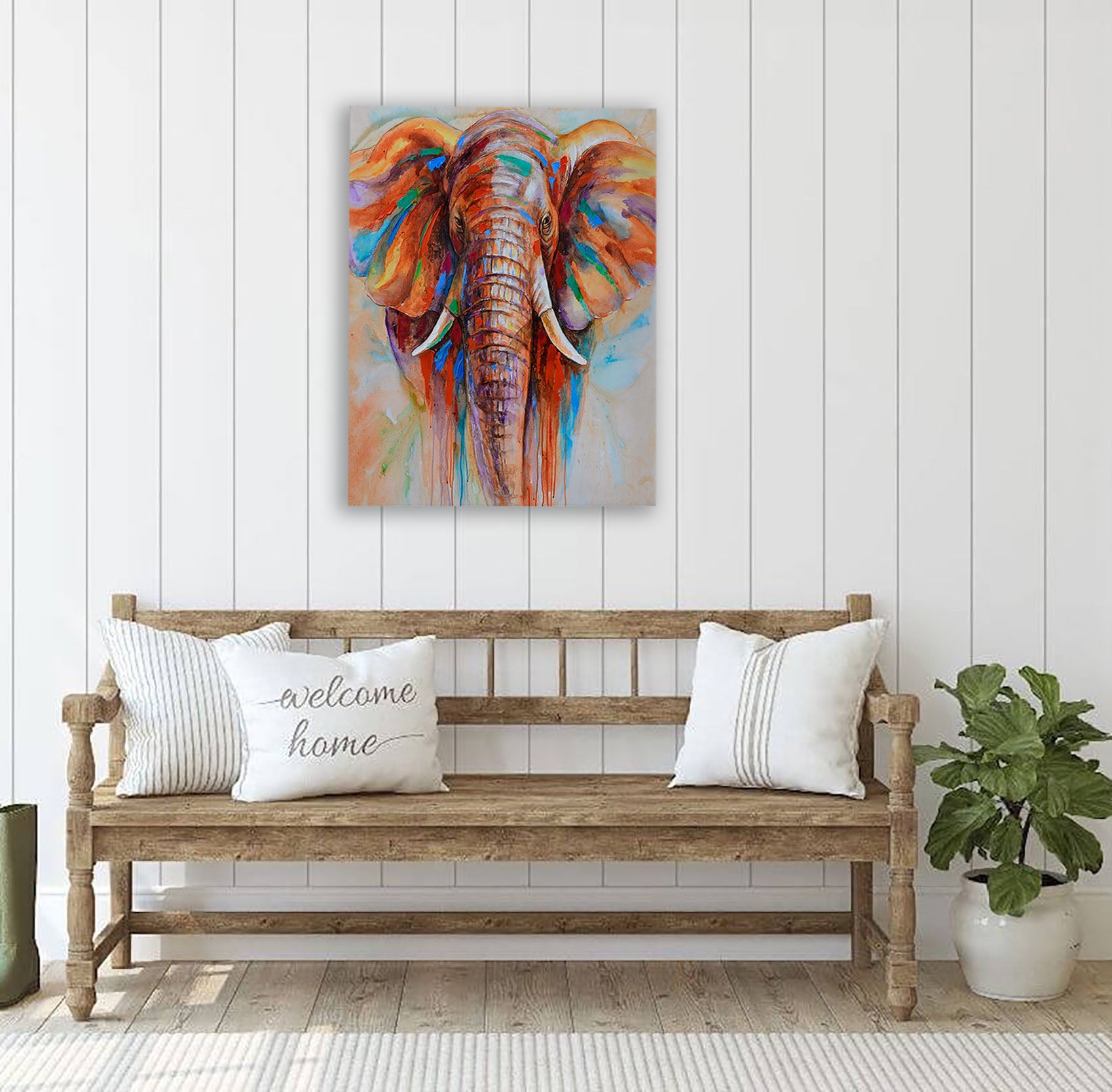 Elephant Expression Canvas Print