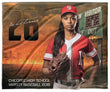 Inferno Baseball - Pixydecor