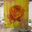 Johanna shower curtain