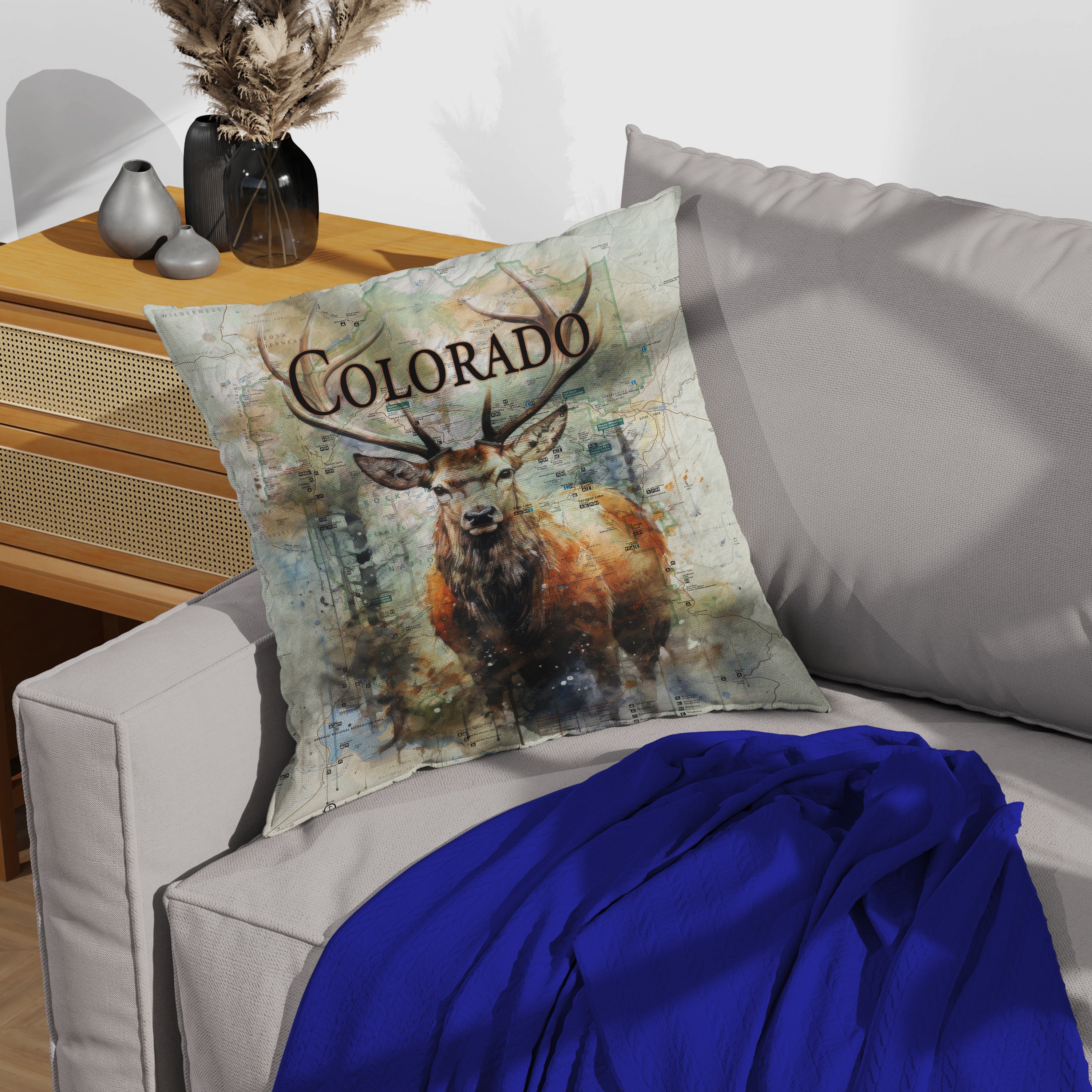 Colorado Flag Design_3 Pillows