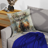 Colorado Flag Design_3 Pillows