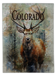 Colorado Flag Design_3 Area Rug