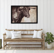 Spanish Bull Framed Canvas