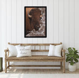 The Bison Framed Canvas