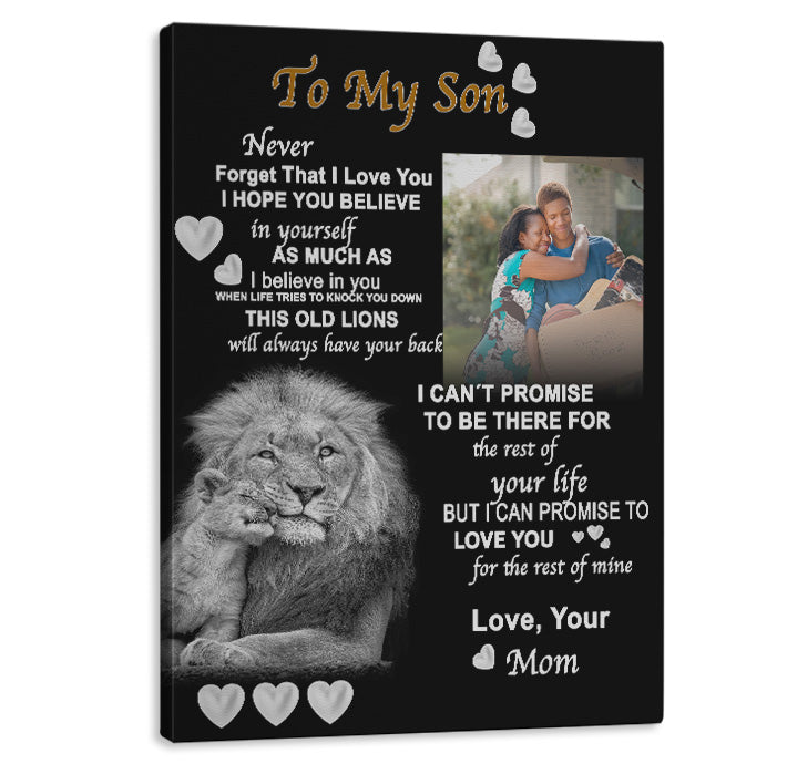 Son Lion Canvas Art